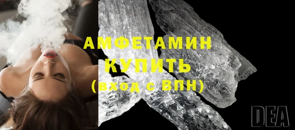 индика Арсеньев