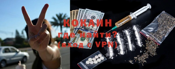 индика Арсеньев