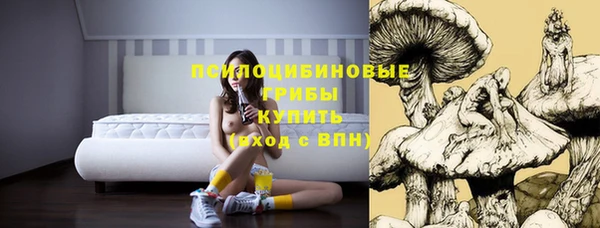 ПСИЛОЦИБИНОВЫЕ ГРИБЫ Армянск