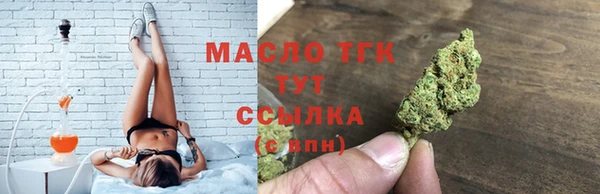 индика Арсеньев