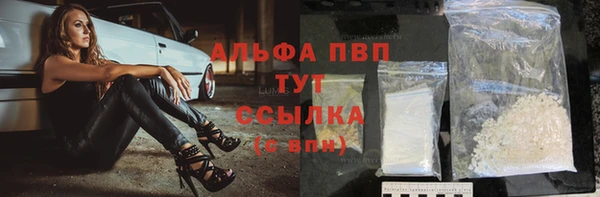 индика Арсеньев