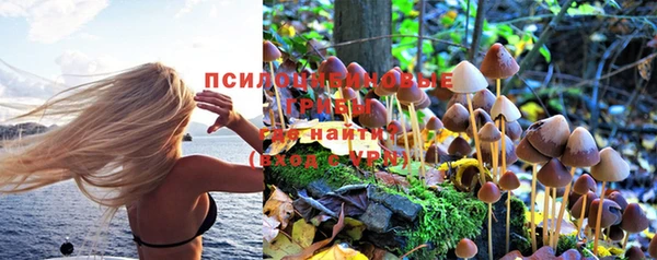 индика Арсеньев