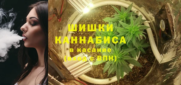ПСИЛОЦИБИНОВЫЕ ГРИБЫ Армянск