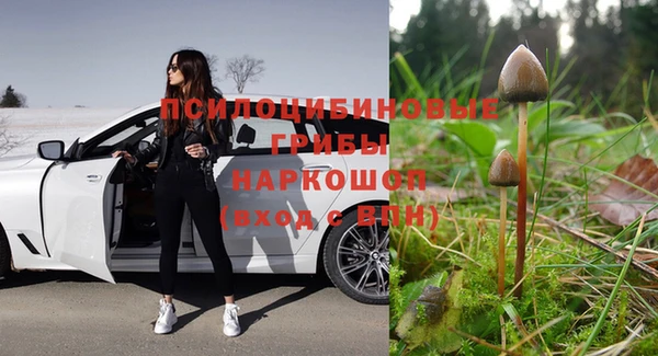 ПСИЛОЦИБИНОВЫЕ ГРИБЫ Армянск