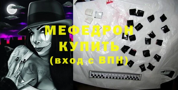 индика Арсеньев
