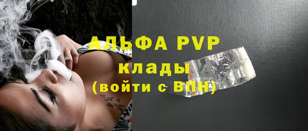 индика Арсеньев