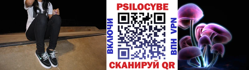 Галлюциногенные грибы MAGIC MUSHROOMS  где продают наркотики  Старица 