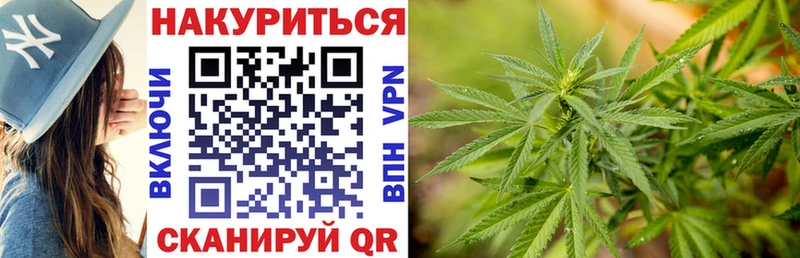 Бошки Шишки AK-47  где можно купить наркотик  Старица 